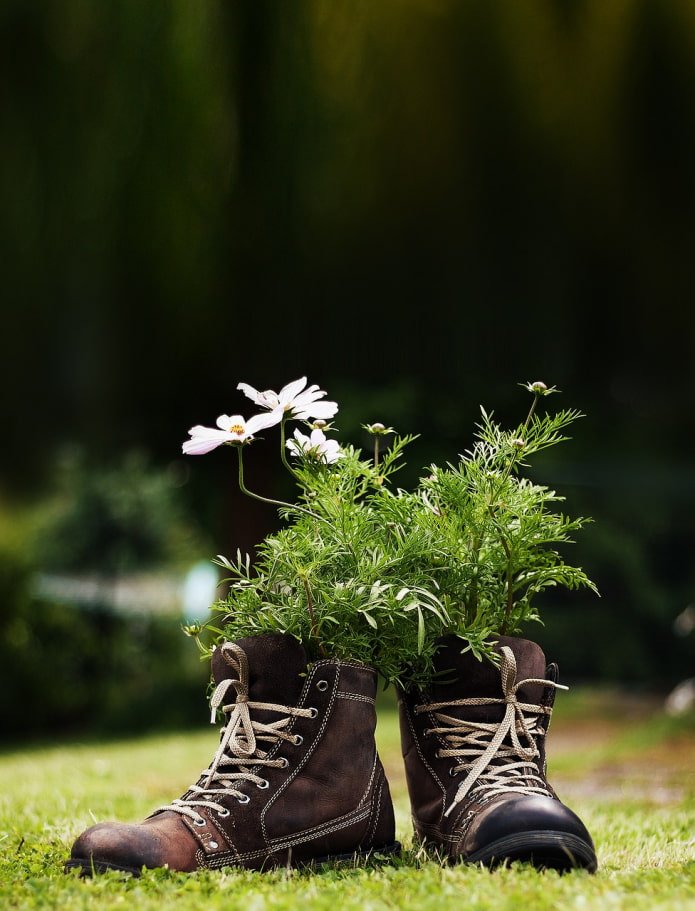 flores em botas