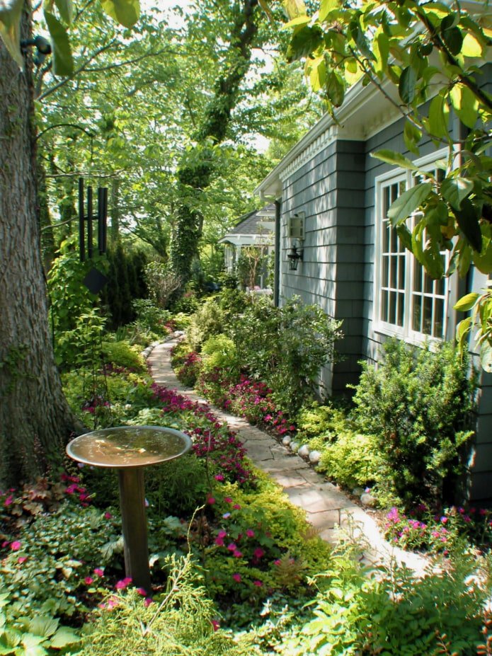 terreno de dacha coberto de vegetação