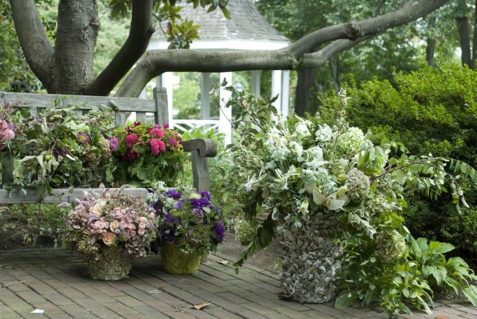 flores de jardim no estilo provençal