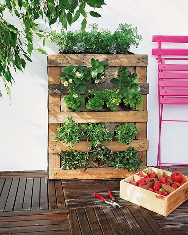 Cama vertical