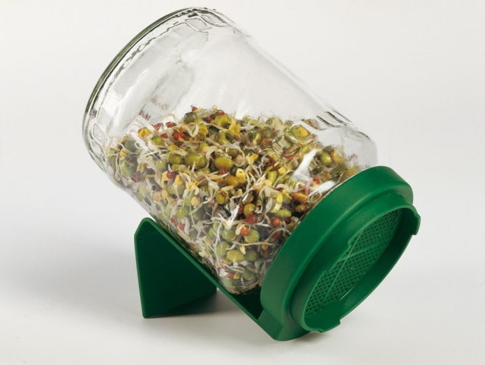 jar para germinação