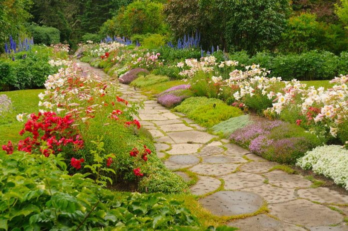 flores ao longo do caminho