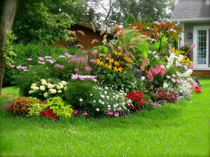flores em uma mixborder