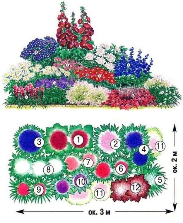 mixborder de flores