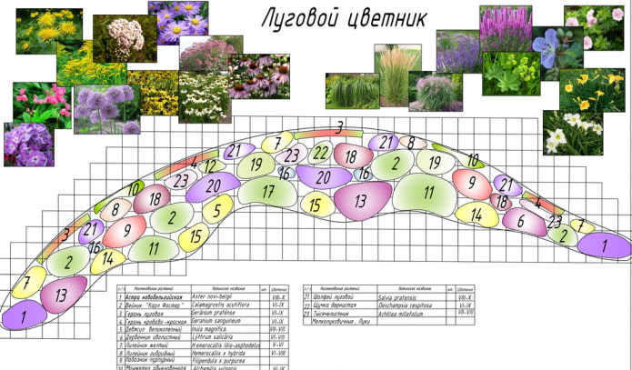 mixborder de flores de prado
