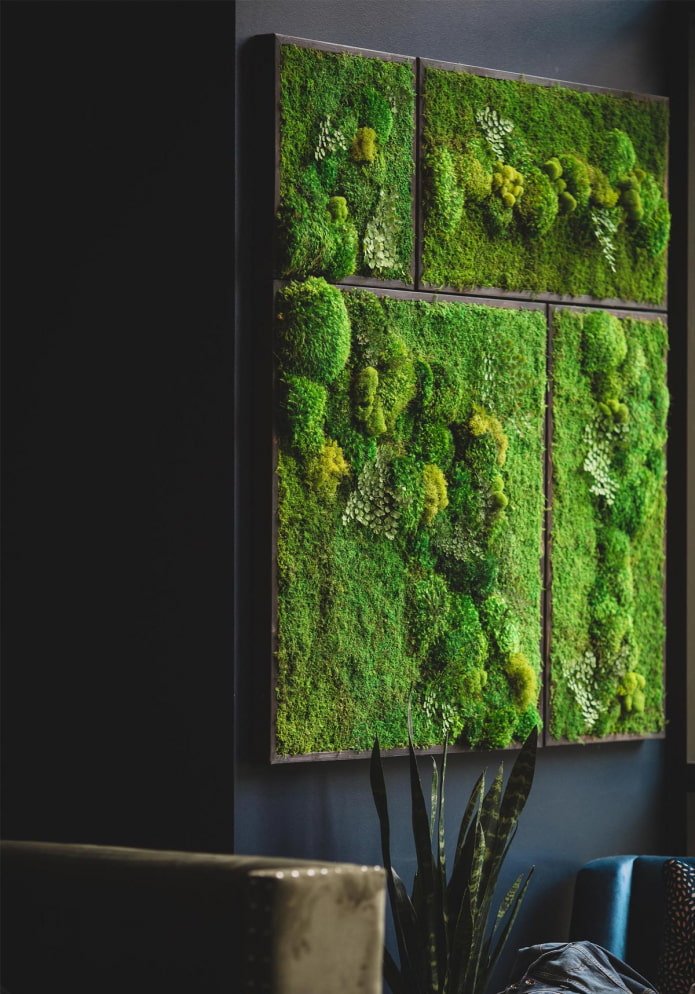 painéis de musgo para decoração de parede