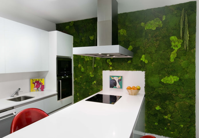 parede verde na cozinha