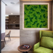 Musgo em o interior-1