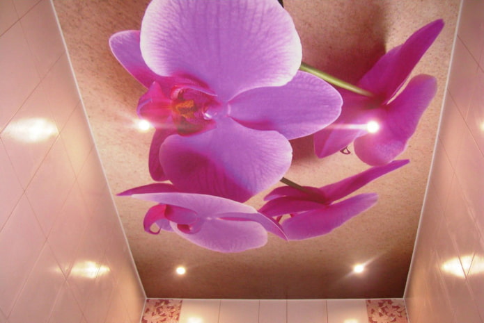 teto com a imagem de orquídeas