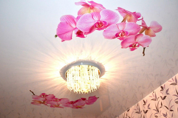 tela esticada com imagem de orquídea