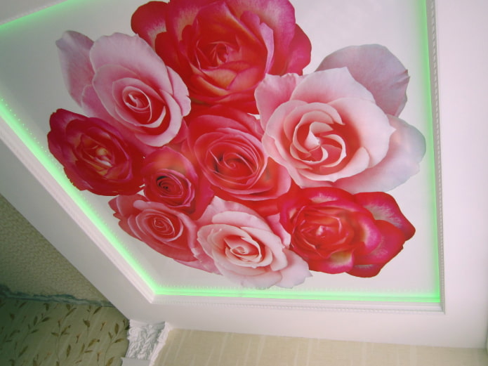tecido esticado com impressão fotográfica em forma de rosa