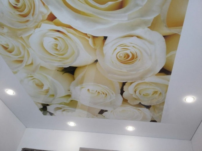 tecido esticado com impressão fotográfica em forma de rosa