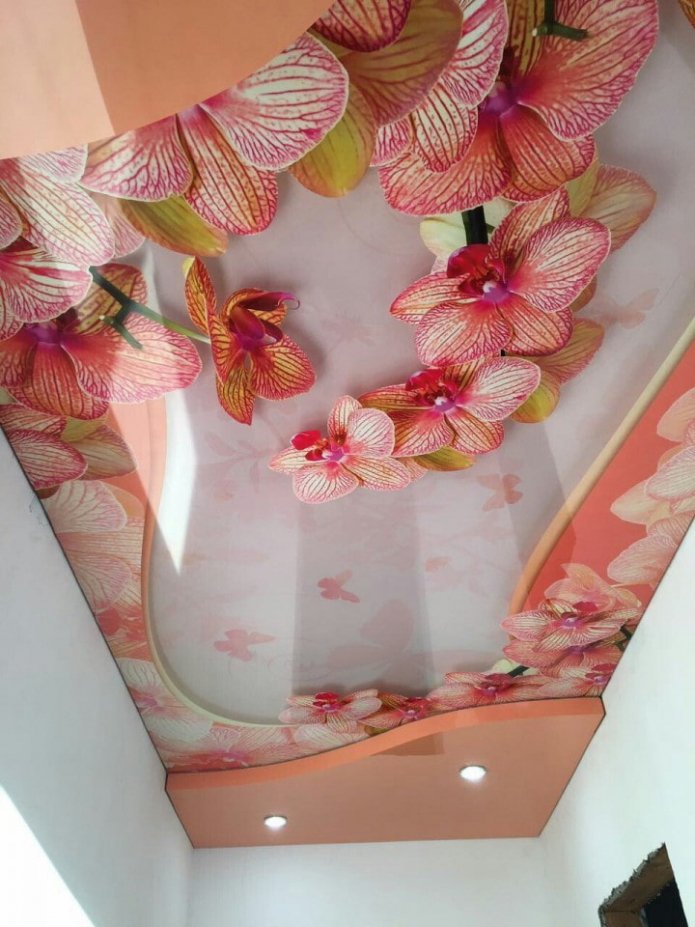 teto tenso rosa com impressão de fotos