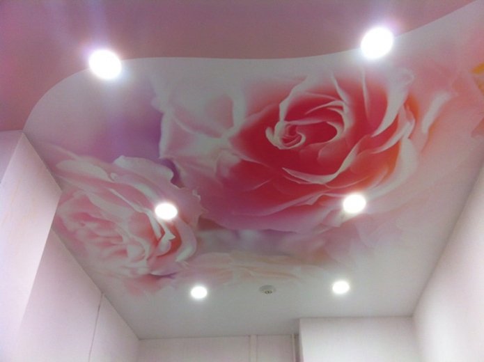 estrutura de teto rosa com impressão de fotos