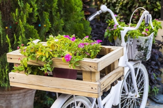 bicicleta como canteiro