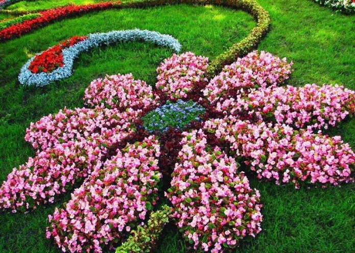 canteiro de flores em forma de figura