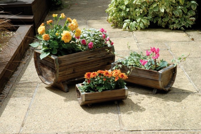 um canteiro de flores em um barril
