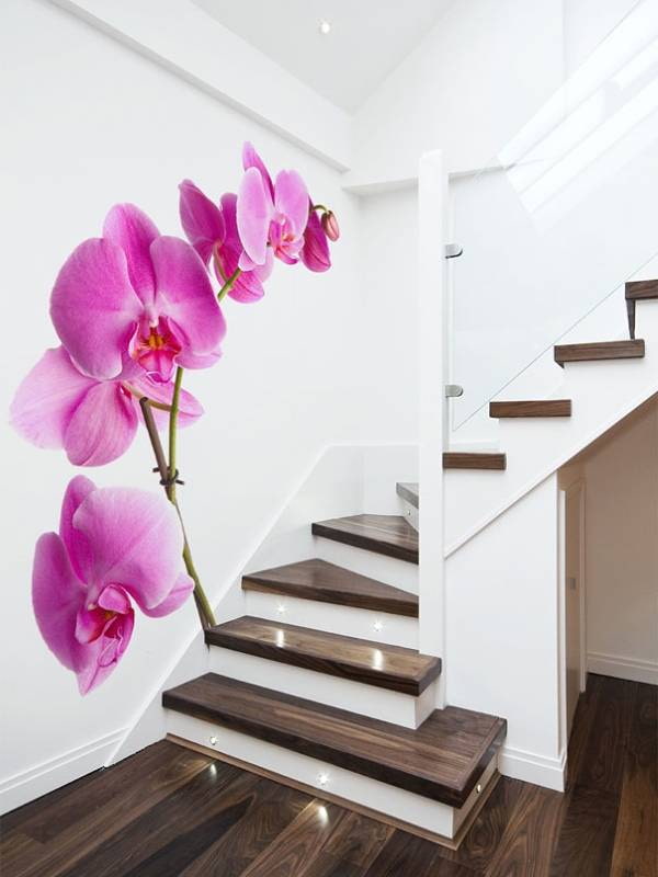 papel de parede fotográfico com orquídea