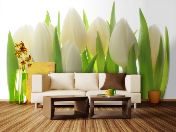 papel de parede fotográfico com tulipas