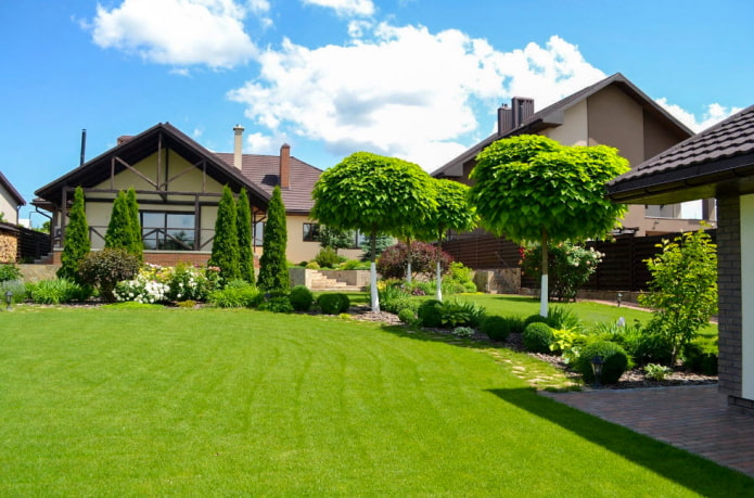 gramado plano