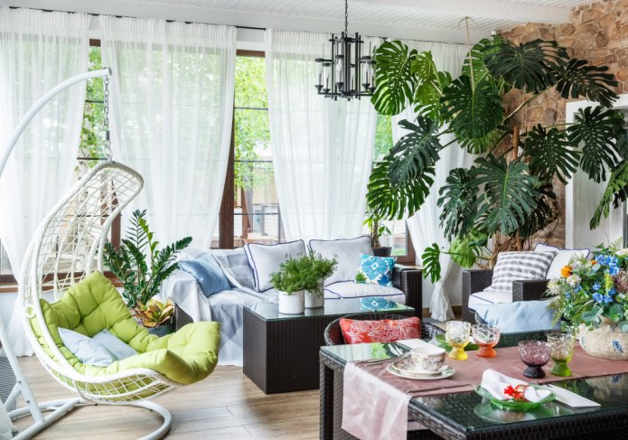 Monstera na varanda