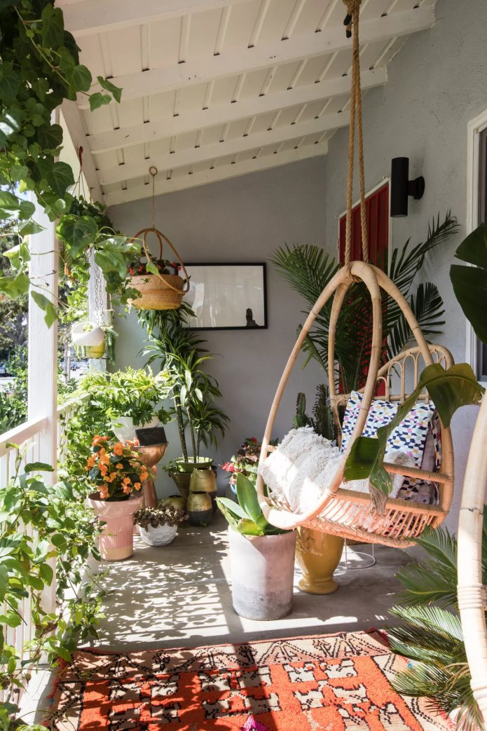 Plantas e uma cadeira suspensa