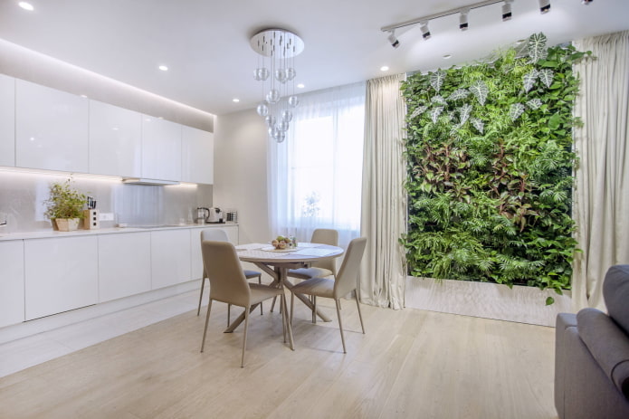 Iluminação de plantas