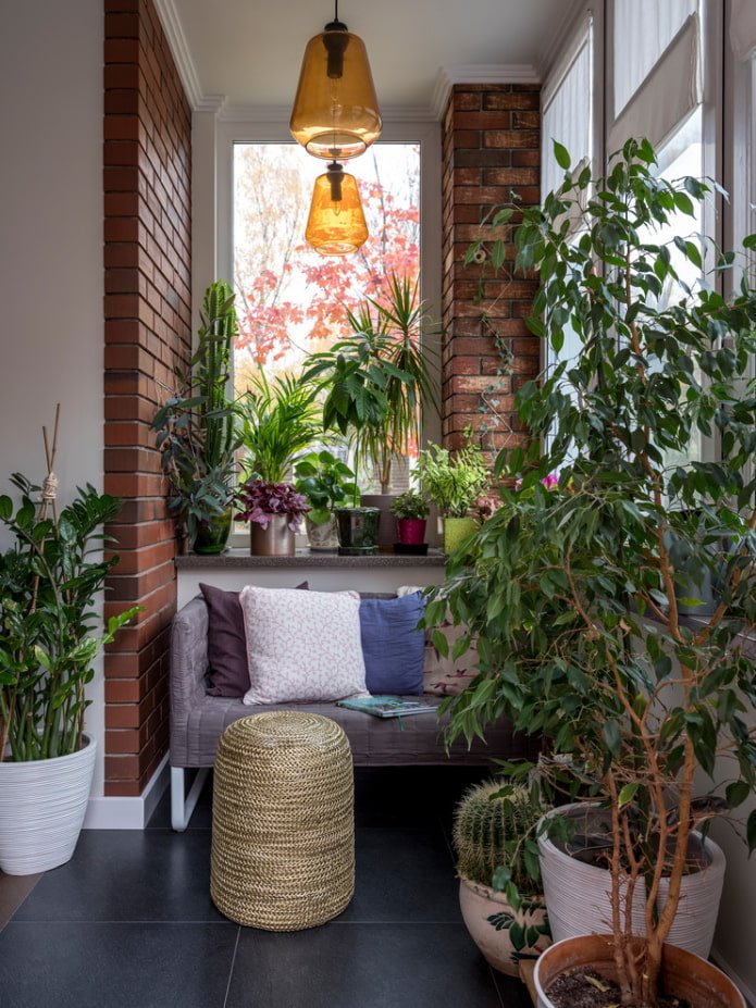 Plantas de interior e tijolos vermelhos