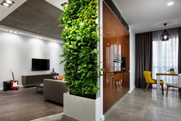 plantas como divisória no interior da cozinha-sala de estar