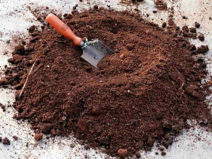 fertilizer