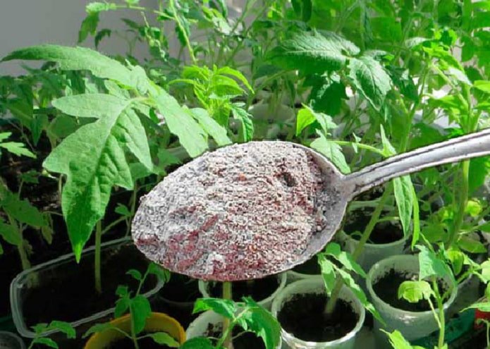 alimentação de tomate