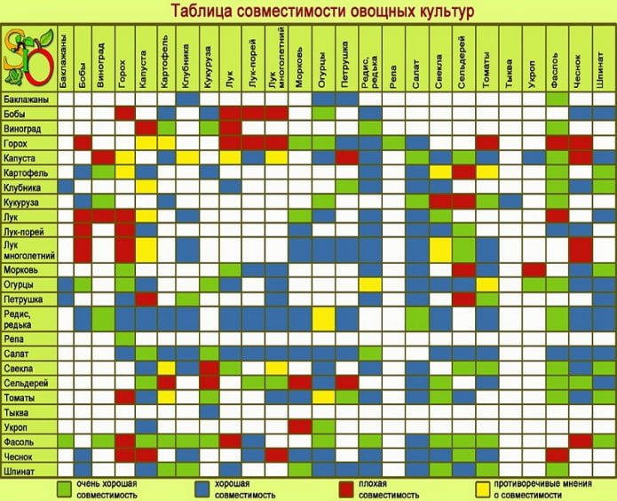 tabela de compatibilidade de culturas