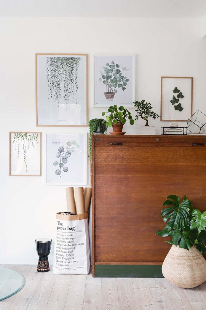 Plantas e pinturas