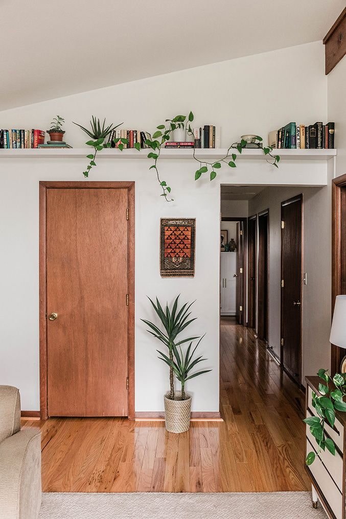 Plantas em uma prateleira sob o teto