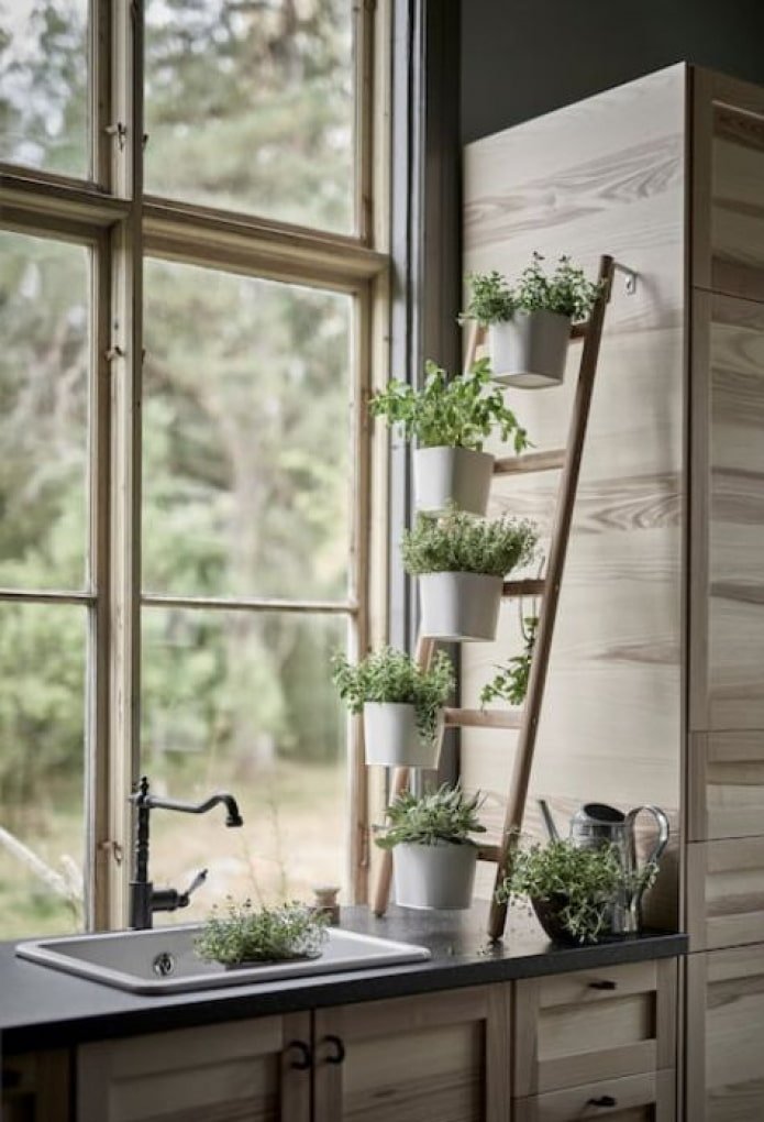Mini escada para vegetação
