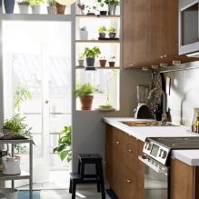 Quais plantas podem ser usadas na cozinha?-4