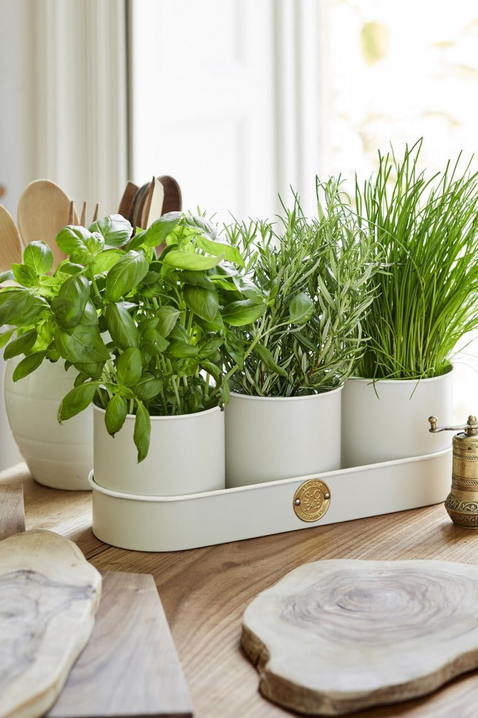 Verduras na cozinha
