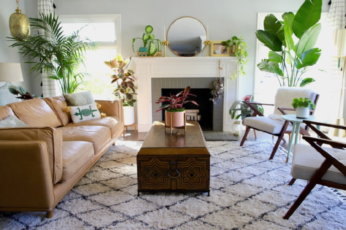 Plantas no interior
