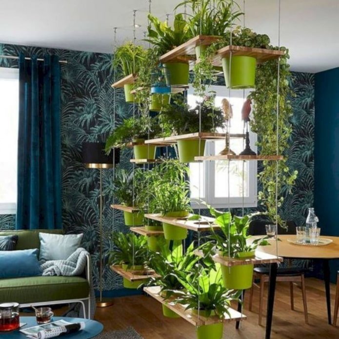 Plantas rasteiras no interior
