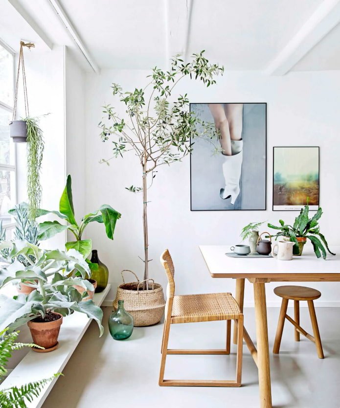 Decorando o interior com plantas