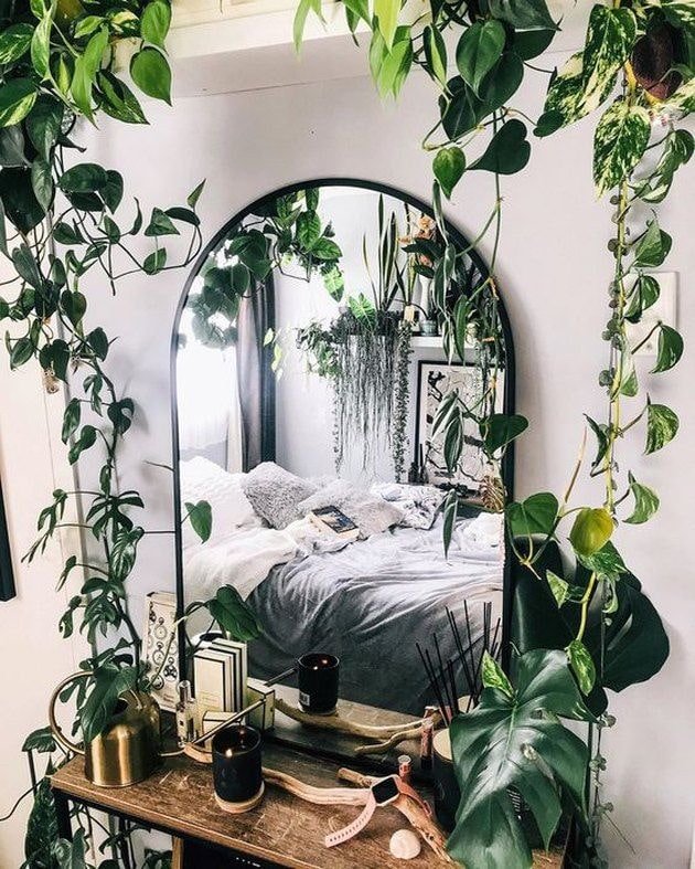 Destacando um espelho com plantas