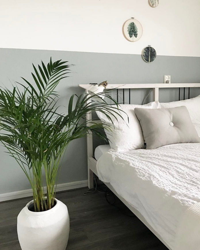 Plantas no quarto