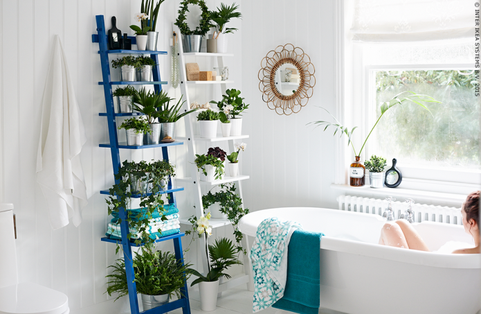 Plantas no banheiro