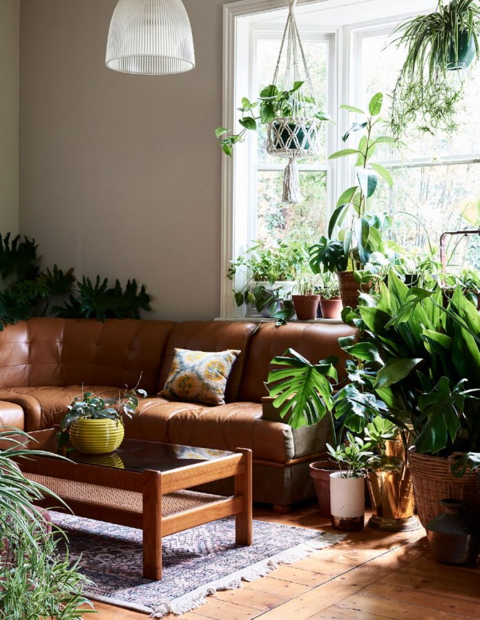 Plantas no interior da sala