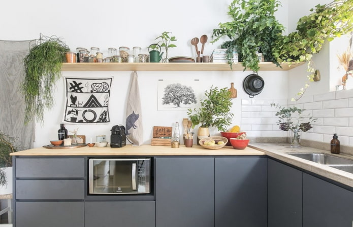 Plantas na Interior da cozinha
