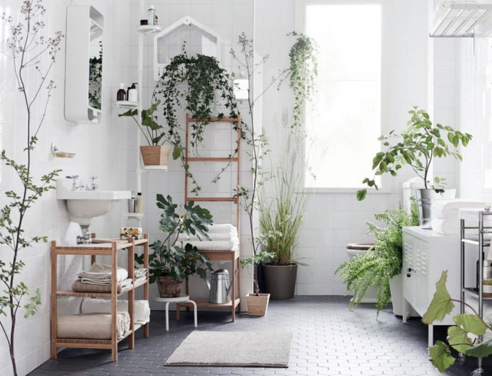 muitas plantas no banheiro