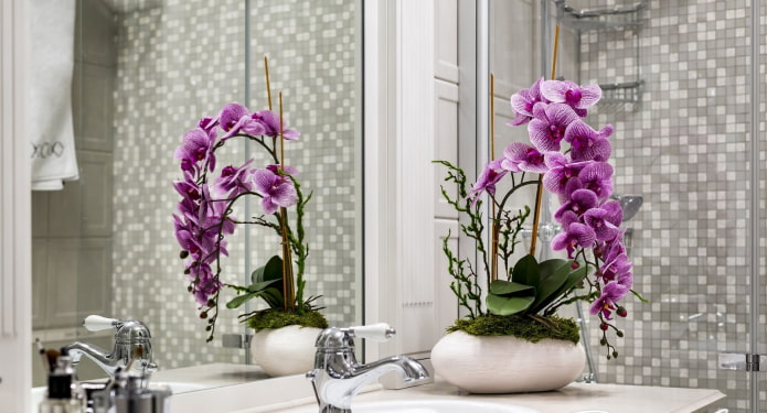 orquídea no banheiro