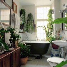 Plantas para o banheiro-0