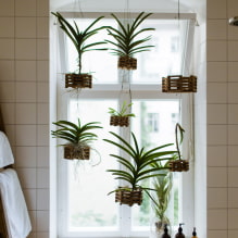 Plantas para o banheiro-4