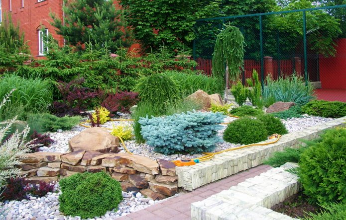 Jardim de pedras com coníferas